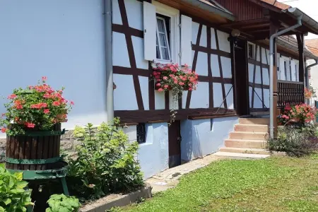 Maison de vacances - SCHLEITHAL, Maison Alsace proche Parc Vosges - Photo 4