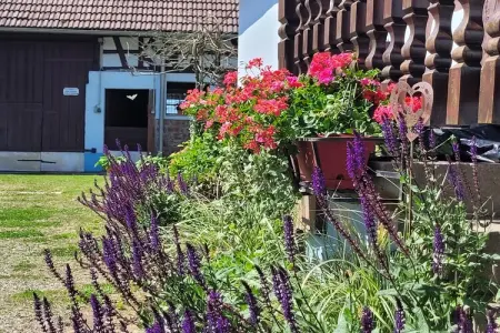 Maison de vacances - SCHLEITHAL, Maison Alsace proche Parc Vosges - Photo 5
