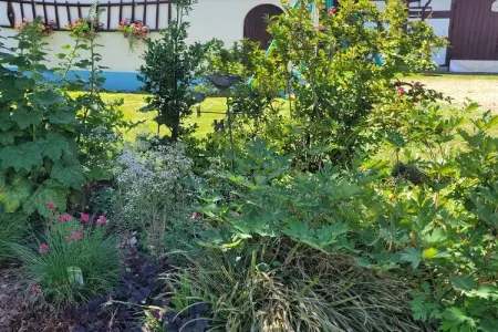 Maison de vacances - SCHLEITHAL, Maison Alsace proche Parc Vosges - Photo 6