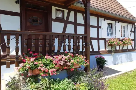 Maison de vacances - SCHLEITHAL, Maison Alsace proche Parc Vosges - Photo 7