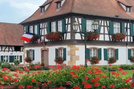 Maison de vacances - SCHLEITHAL, Maison Alsace proche Parc Vosges - Photo 8