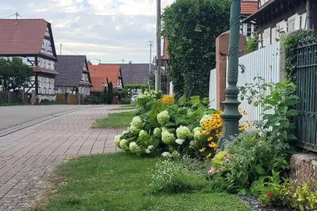 Maison de vacances - SCHLEITHAL, Maison Alsace proche Parc Vosges - Photo 22