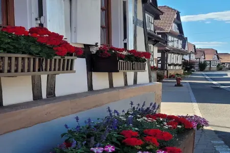 Maison de vacances - SCHLEITHAL, Maison Alsace proche Parc Vosges - Photo 25
