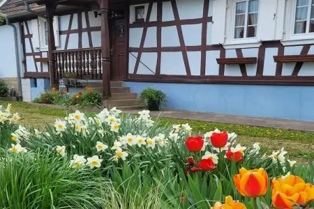 Maison de vacances - SCHLEITHAL, Maison Alsace proche Parc Vosges - Photo 26