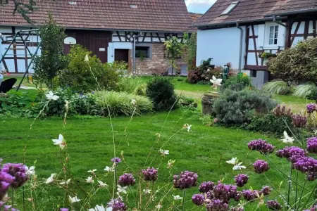 Maison de vacances - SCHLEITHAL, Maison Alsace proche Parc Vosges - Photo 27