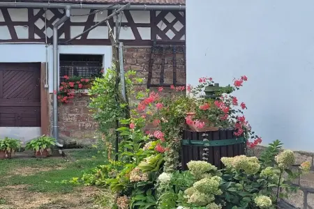 Maison de vacances - SCHLEITHAL, Maison Alsace proche Parc Vosges - Photo 35