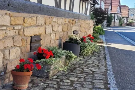 Maison de vacances - SCHLEITHAL, Maison Alsace proche Parc Vosges - Photo 38