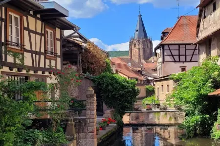 Maison de vacances - SCHLEITHAL, Maison Alsace proche Parc Vosges - Photo 39