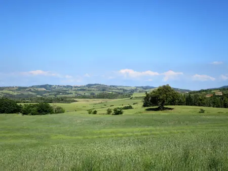 Il Sorbo, Gite 4 personnes à Pomarance - Photo 21