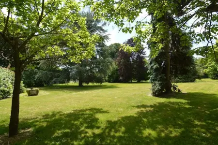 Marcoult, Manoir à Champvert avec terrasse vue étang - Photo 27