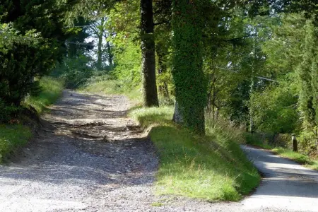 Nocciolo Uno, Maison à Montecarelli avec Piscine - Photo 19