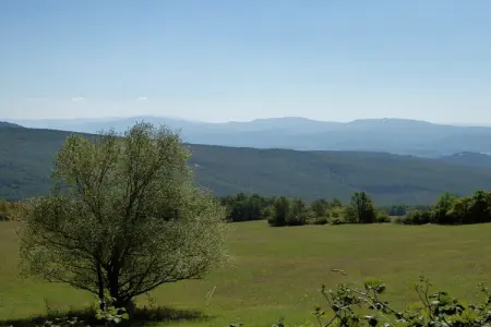 Leccio Due, Maison à Montecarelli avec Piscine - Photo 26