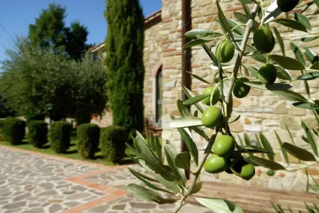 Cipresso Nove, Maison à Montecarelli avec Piscine - Photo 27