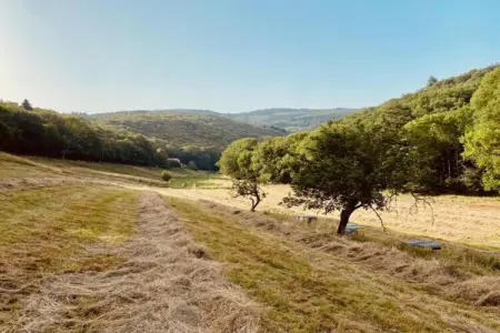 Domaine Courniou, Hillside Haven à Courniou - Photo 36