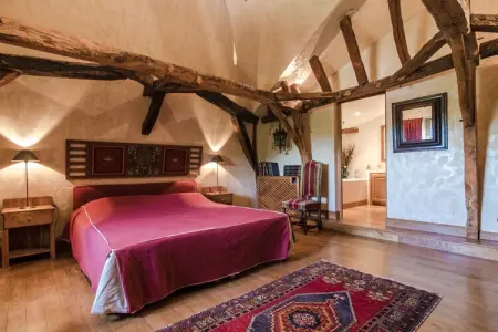 Manoir de la Baronie 21P, Manoir à Sourzac avec piscine privée - Photo 4