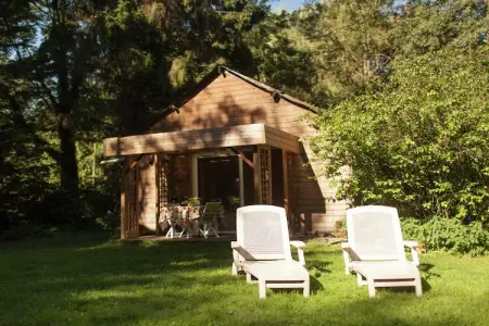 Maison de vacances - LE PONCHEL, Chalet chaleureux avec jardin et vue sur l’étang - Photo 13