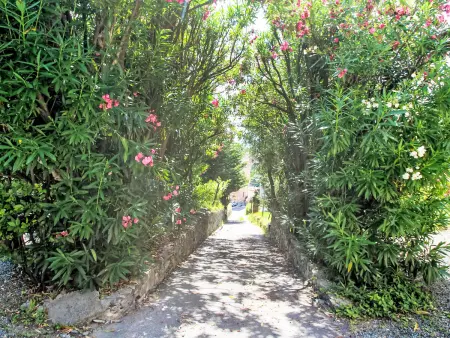 Bagnolo, Villa 4 personnes à Albisola - Photo 28