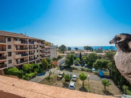Le Victoria, Appartement 4 personnes à Saint Aygulf - Photo 4