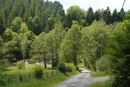 Le jardin de Marjolaine, Séjour à Stavelot, Liège - Photo 36