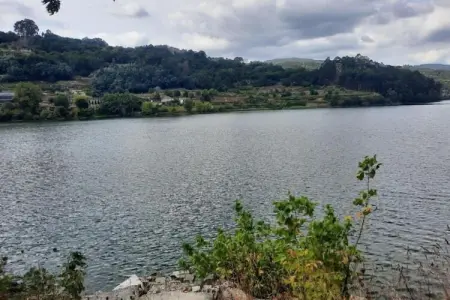 Mira, Villa avec piscine près de la vallée du Douro - Photo 21