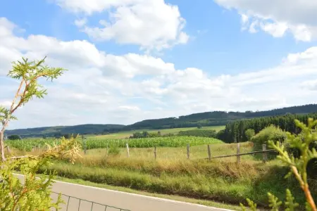 Goronne, Superbe maison de vacances à Vielsalm avec jardin - Photo 3