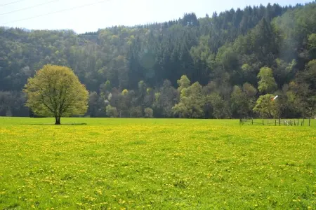 Goronne, Superbe maison de vacances à Vielsalm avec jardin - Photo 35