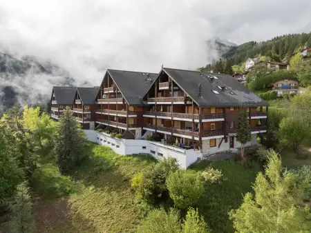 Eaux-Vives 201, Appartement 4 personnes à Ovronnaz - Photo 29