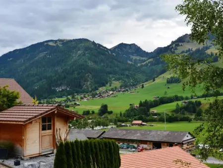 Bijou Eggetli, Appartement 4 personnes à Zweisimmen - Photo 5
