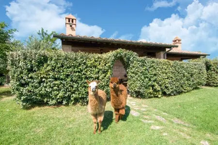 Cavaliere d'Italia, Grande ferme avec piscine - Photo 24