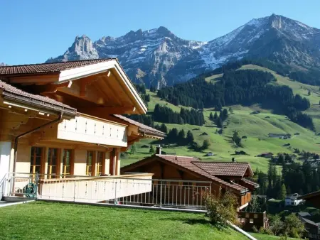 Mühleport 1, Appartement 4 personnes à Adelboden - Photo 2