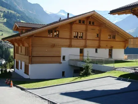 Mühleport 1, Appartement 4 personnes à Adelboden - Photo 3