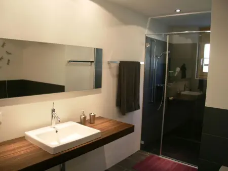 Mühleport 1, Appartement 4 personnes à Adelboden - Photo 12