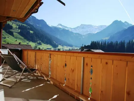 Mühleport 1, Appartement 4 personnes à Adelboden - Photo 14