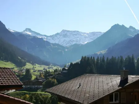 Mühleport 1, Appartement 4 personnes à Adelboden - Photo 15