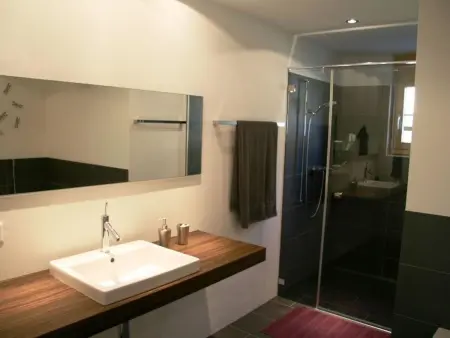 Mühleport 1, Appartement 4 personnes à Adelboden - Photo 21