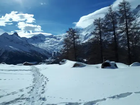 Orion, Appartement 8 personnes à Saas Grund - Photo 25