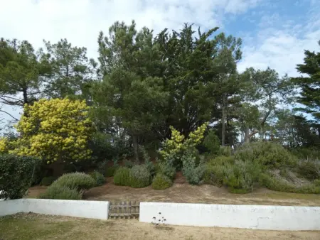 Maison rétro proche forêt et plage - Animaux admis - Photo 13