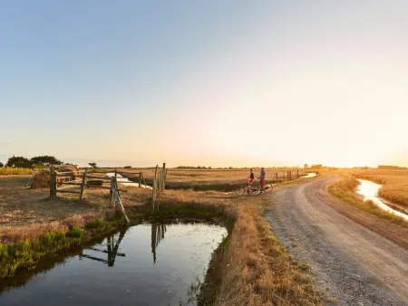 Maison rétro proche forêt et plage - Animaux admis - Photo 14