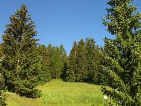 La Schmetta 11, Appartement 5 personnes à Lenzerheide - Photo 22