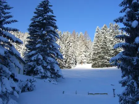 La Schmetta 11, Appartement 5 personnes à Lenzerheide - Photo 27