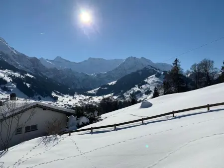 Panorama Adelboden, Maison 7 personnes à Adelboden - Photo 1