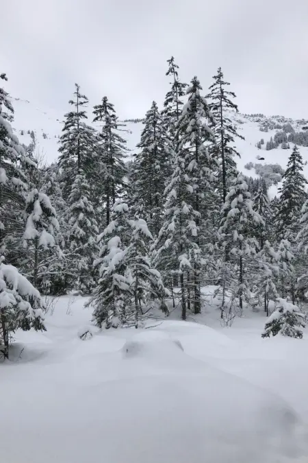 Panorama Adelboden, Maison 7 personnes à Adelboden - Photo 2