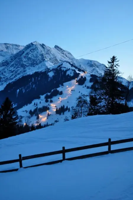 Panorama Adelboden, Maison 7 personnes à Adelboden - Photo 5