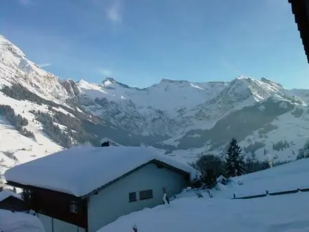 Panorama Adelboden, Maison 7 personnes à Adelboden - Photo 6