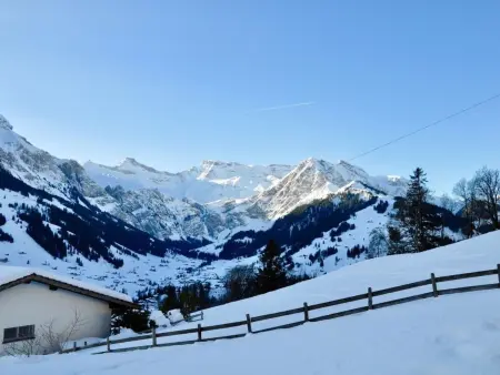 Panorama Adelboden, Maison 7 personnes à Adelboden - Photo 7
