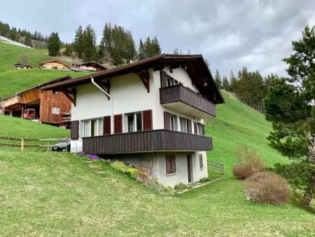 Panorama Adelboden, Maison 7 personnes à Adelboden - Photo 9