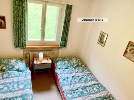 Panorama Adelboden, Maison 7 personnes à Adelboden - Photo 21