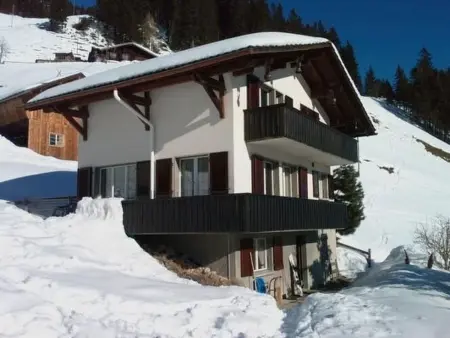 Panorama Adelboden, Maison 7 personnes à Adelboden - Photo 26