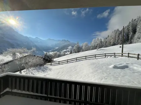 Panorama Adelboden, Maison 7 personnes à Adelboden - Photo 35