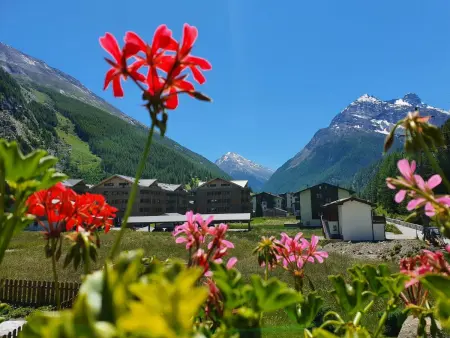 Haus Artemis, Appartement 4 personnes à Saas Grund - Photo 30